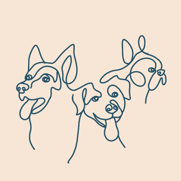 Homepage The Doghouse Dog Grooming Salon Accrington